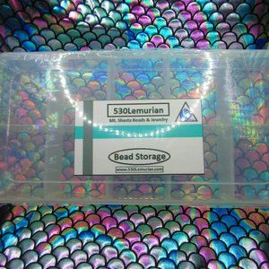10 Compartment Bead Organizer